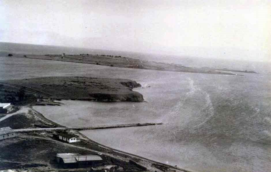 Darıca