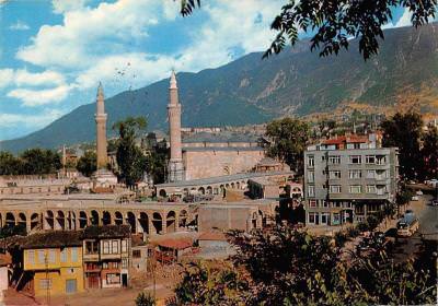 Bursa