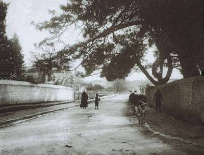 İzmir Bornova