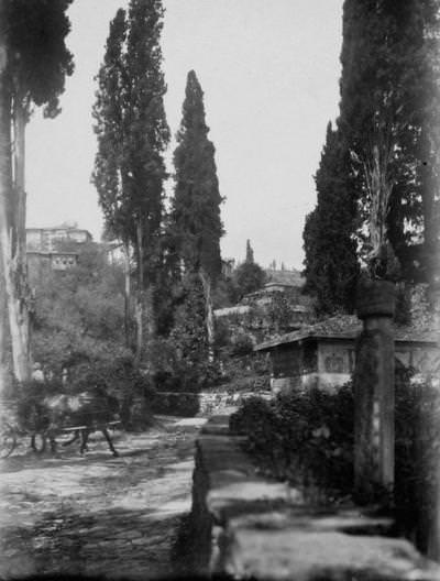 İzmit