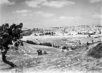 Kudüs Şehri Görünümü / 1940