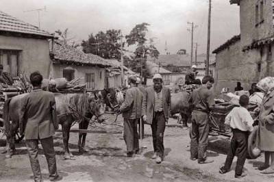 Priştine / 1969