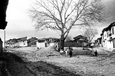 Uşak