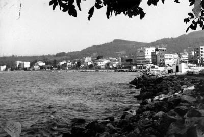 Fatsa / 1974