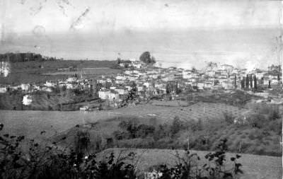 Fatsa